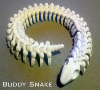 Buddy Snake 3D model