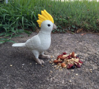 Cockatiel 3D model