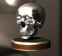 skull 3D model