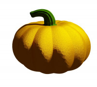 Pumpkin 3D model