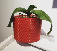 Vase Pot Planter Cachepot 3D model