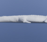 crocodile 3D model