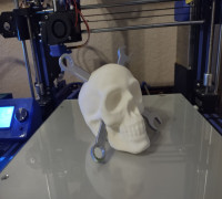 Mechanic Skull V2 3D model