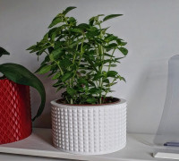 Vase Pot Planter Cachepot 2 3D model