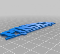 Pinder 3D model