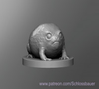 Desert Rain Frog 3D model