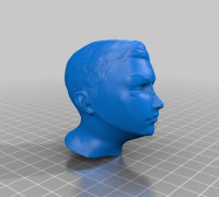 Face Sculpture 3D model