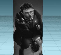 Litho harry potter 3D model