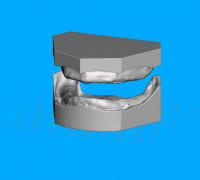 Modelos edentulos 3D model