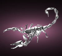 Scorpion 3D model