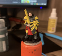 Paladin Dane Sunbringer 3D model