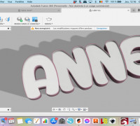 Name ANNE 3D model