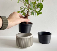 Stripped Flowerpot 3D model
