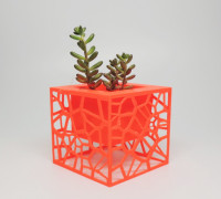 Voronoi Planter 3D model