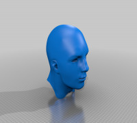 Head Sizing Reference 3D model