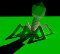 Bacteriophage Stand 3D model
