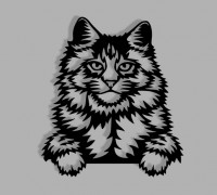 WALL DECOR MAINE COON 3D model