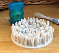 Tooth Dish 3D model