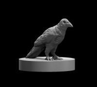 Zombie Raven 3D model