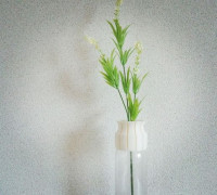 PET VASE CAP_01 3D model
