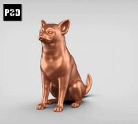 Chihuahua V2 3D model