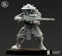 Dynasty Warrior 3D model