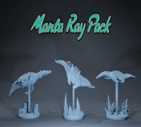 Manta ray pack 3D model