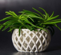 Planter 3D model