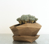 Planter #3 3D model