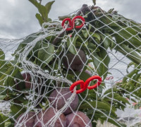 Bird net hook 3D model
