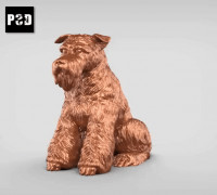 schnauzer V2 3D model