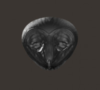 owl face 3D model