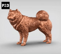 Samoyed V1 3D model