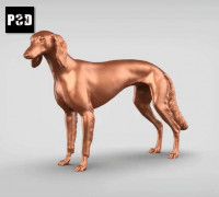 Saluki V1 3D model