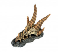 Dragon Skull 3D model