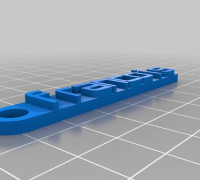 francois 3D model
