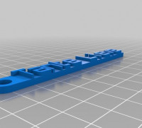 Lieve 3D model