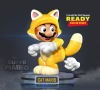 Cat Mario 3D model