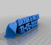 Bryan & Nicole Wedding 3D model