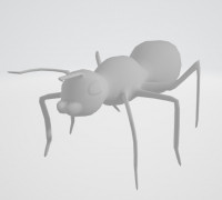 Ant Model 3D model