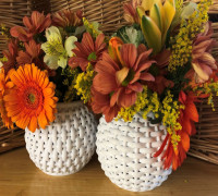 Wicker Bowls 3D model