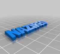 nazired caps text 3D model
