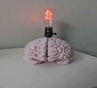 Real Human Brain 3D model