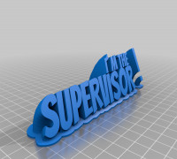 i´M THE SUPERVISOR 3D model