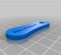 Bleschke P X 3D model