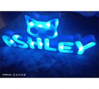 Ashley cat lamp 3D model
