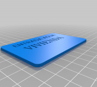 PLACA GRANDE 3D model