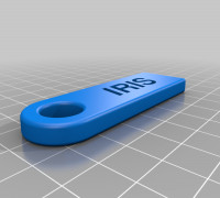 Iris keychain 3D model