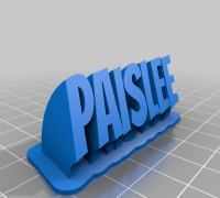 PAISLEE 3D model