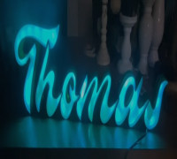 THOMAS 3D model